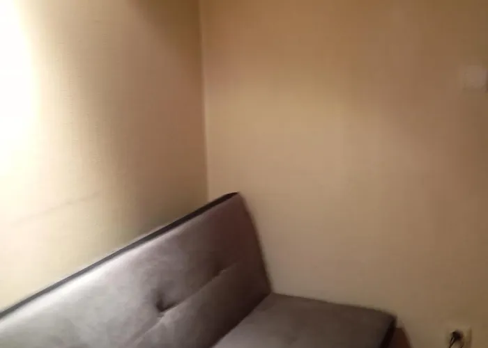 Maison Des Lavandes 民宿 南锡